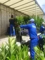 Wholesale Citrus Seedlings South Africa 4